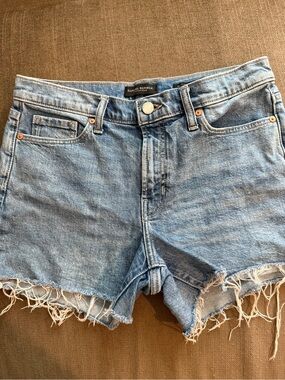 Banana Republic Light Blue Denim Shorts with Frayed Hem